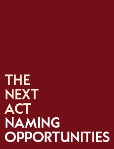 The Next Act Naming Opportunities in spotlight and white letters on a brick colored background